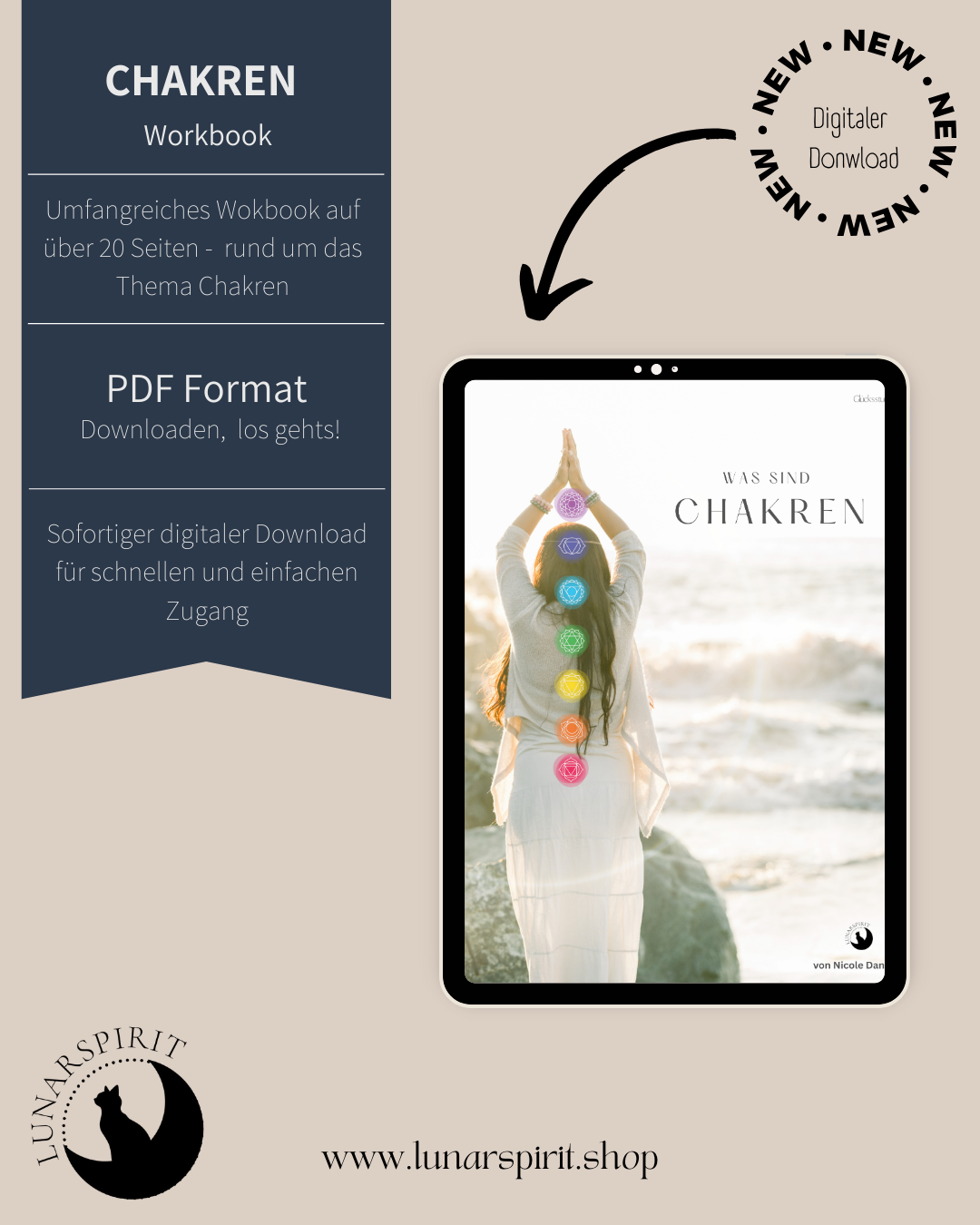 Chakren verstehen & bewusst erleben Workbook
